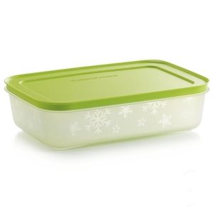 Tupperware Freezer Mates Plus Medium Shallow New